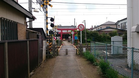【鎌ヶ谷】鳥居の目の前に踏切!! 変った参道の右京塚神社にある「ご珍木」