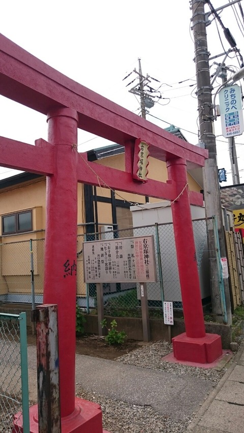 右京塚神社に内にある夫婦稲荷の「ご珍木」
