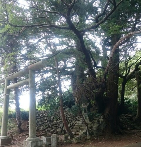 成田の秘道で遭遇した神々の眠る場所「中里道祖神」