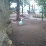 【品川区】恐竜公園a.k.a.「子供の森公園」