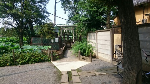 【台東区】上野にある2つの男根「髭地蔵」と「独活大王の墓」