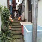 沖縄タウンの奥に巣くう旧玉川上水新水路スラム…謎のバラック街…
